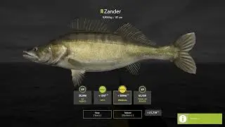 RF4 - Trophy Zander on archipelago - 9,903kg