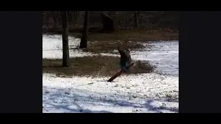 FAIL: Best self spanking fall I’ve ever seen!