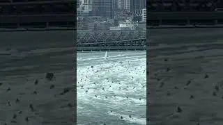 The annual NYC jet ski invasion! #qualified #infested #aswarmofflies #nyc
