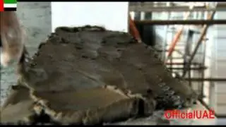 Oil Discovery In The UAE