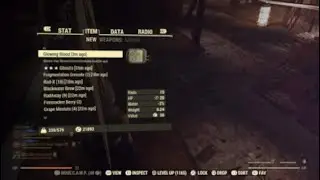 Fallout 76: Oh Bethesda... pt?