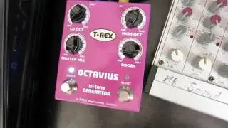 T-REX OCTAVIUS + Jomox T-resonator + Quasimidi Sirius + Behringer Eurorack 1204