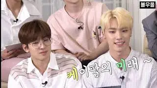 [세븐틴/디노] 파워열정맨은 영어로 D.I.N.O (찬반토론)