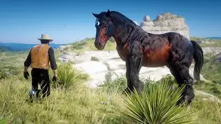 Low Honor John Marston Tames Legendary Seal Brown Breton Horse at Citadel Rock
