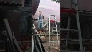 Bangkok Chicken Farm Routine