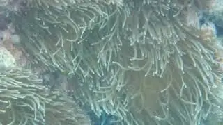 串本　灯台前③