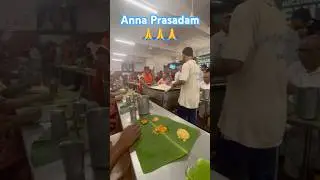 Tirumala Anna Prasadam |Free Meal Vengamamba|#darshan #tirumala #tirupati #ttd #viral #trending #ttd