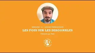 &Eacute;cole d'&Eacute;checs &agrave; la Fran&ccedil;aise - Cavalier - 12.1 - les fous sur les diagonales