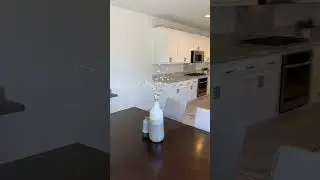 60 Second Home Tour: 317 Calle Cerro, Morgan Hill