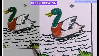 How to Draw a Duck from Number 2 || Easy system Drawing