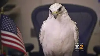 West Point Apologizes For Air Force Prank