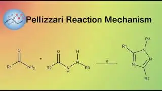 Pellizzari Reaction Mechanism | Organic Chemistry