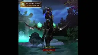 WoW Retail Night Elf BM Hunter Transmog