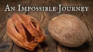 10,000 Miles to the Frontier: How Spices Reached the Edge of the Wilderness