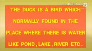Essay on Duck.