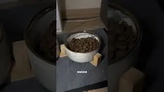 Если ты&hellip;565448733