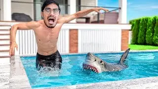 24 Hours in Swimming Pool Challenge Now we cannot come out of this pool for 24 hours. Will we sur...