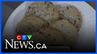 We're celebrating National Cookie Day