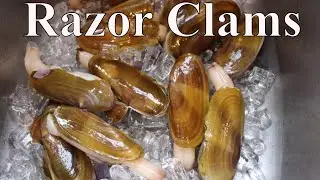 How To Clean Razor Clams With Linda's Pantry