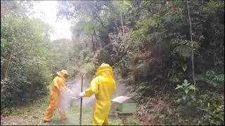 NESSE PRIMEIRO VIDEO DA SERIE APICULTURA PROFISSIONAL, LIMPEZA E CONSERVA&Ccedil;AO.