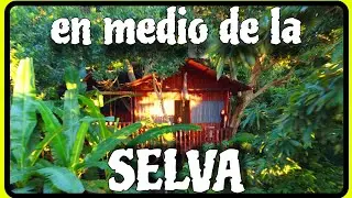cabañas en CATEMACO! en medio de la SELVA!!!