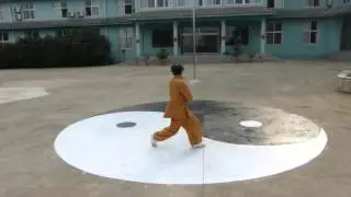 Shifu Yu   Bagua - Kung Fu - Shaolin -Sanda - Tai Chi - Qi Gong - Xing Yi - Self Defence