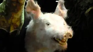 Talking Pig Head Mount Made by Characters Unlimited Inc.