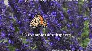 3 3 Examples of subspaces