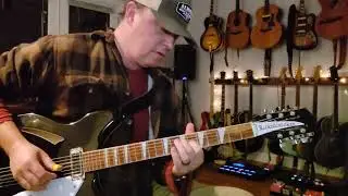 Rickenbacker 360/12 Baritone 8 string conversion