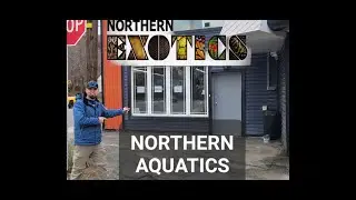 Northern Aquatics Store Tour (opening soon)