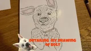 Detailing my drawing of Bolt! ⚡️🤍 #art  #drawing #bolt #disney #artistartwork