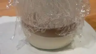 How to Revive an Inactive Sourdough Starter (After 2&ndash;3 Months in the Fridge)