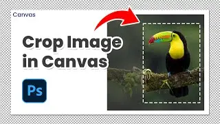 What's the BEST Way to CROP an Image Without Affecting the Canvas in Photoshop