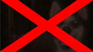 Proof That Smile Dog Is Not Real