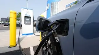 Import taxes and American-made cars: How the US election could impact Europe&rsquo;s green economy