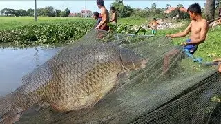 Primitive Technology - Top 5 Fishing Big Fish Of Smart Guy