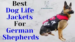 Best Life Jackets For German Shepherds