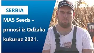 MAS 56.A hibrid kukuruza za 2022. I Axereal Serbia