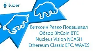 Биткоин Резко Подешевел. Обзор BitCoin BTC,Nucleus Vision NCASH, Ethereum Classic ETC, WAVES.