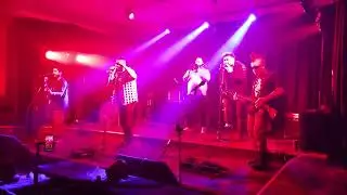 Camino para verte en Vivo