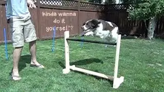 DIY Dog Agility Jump and Weave Poles