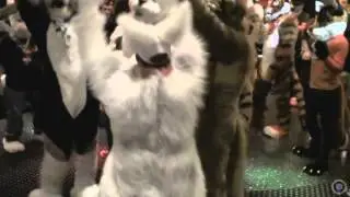 Eurofurence 19 - Dead Dog Party