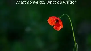 Alone Again Naturally Gilbert O`Sullivan Lyrics PY4c r5VY8c