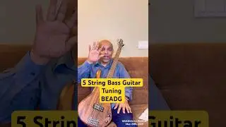 5 String Bass Guitar Tuning BEADG - 5th string is B0 at 30 Hz!