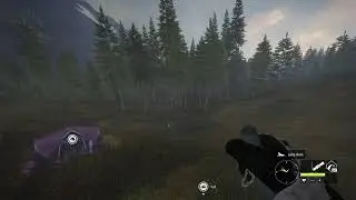 TheHunter: Call Of The Wild...I'm not responding 2 Live Chat!