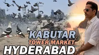Tower Market Kabootar Market | Famous Market of Friday and Sunday