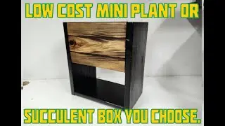 Low Cost Mini plant or succulent box you choose.