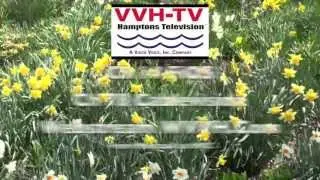 Think Spring Think HamptonsTV!