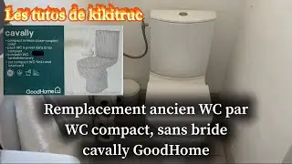 Replacing an old toilet with a compact, rimless toilet, Cavally GoodHome