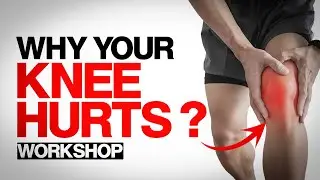 Why Your Knee Hurts: Hip & Ankle Problems Explained | Knee Pain Workshop